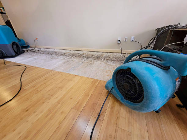 Professional Water Extraction technician working in Laporte, CO